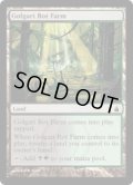 【ENG/RAV】ゴルガリの腐敗農場/Golgari Rot Farm