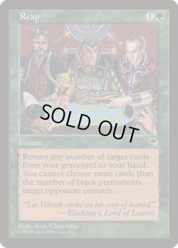 画像1: 【JPN/TMP】刈り取り/Reap