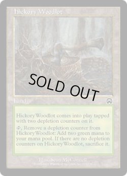 画像1: 【JPN/MMQ/FOIL★】ヒッコリーの植林地/Hickory Woodlot