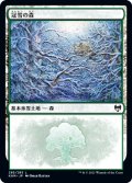 【JPN/KHM】冠雪の森/Snow-Covered Forest【285】