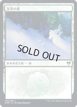 画像1: 【JPN/KHM】冠雪の森/Snow-Covered Forest【284】