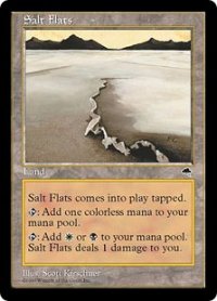 【ENG/TMP】塩の干潟/Salt Flats