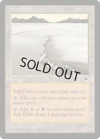 【ENG/TMP】塩の干潟/Salt Flats