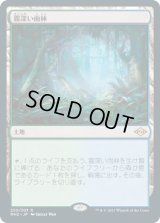 【JPN/MH2】霧深い雨林/Misty Rainforest