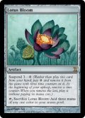 【ENG/TSP】睡蓮の花/Lotus Bloom