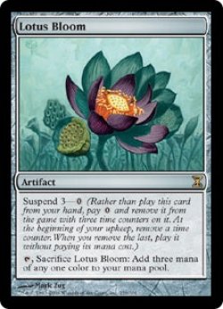 画像1: 【ENG/TSP】睡蓮の花/Lotus Bloom