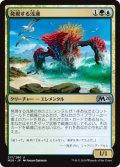 【JPN/M20】発現する浅瀬/Risen Reef