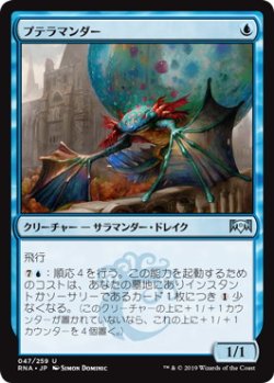 画像1: 【JPN/RNA】プテラマンダー/Pteramander