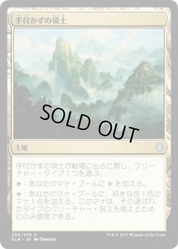 画像1: 【JPN/XLN】手付かずの領土/Unclaimed Territory