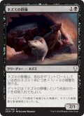 【JPN/DOM】ネズミの群棲/Rat Colony