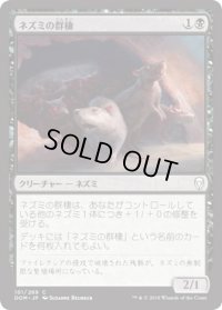 【JPN/DOM】ネズミの群棲/Rat Colony
