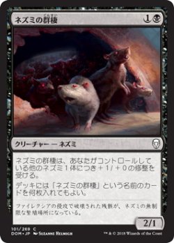 画像1: 【JPN/DOM】ネズミの群棲/Rat Colony