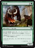 【JPN/AKH】刻み角/Manglehorn