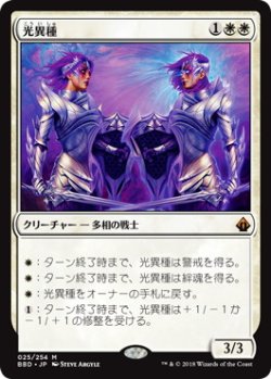 画像1: 【JPN/BBD】光異種/Brightling