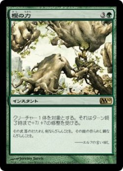 画像1: 【JPN/M10/FOIL★】樫の力/Might of Oaks