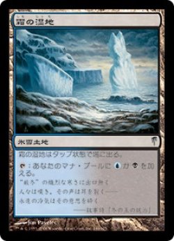 画像1: 【JPN/CSP】霜の湿地/Frost Marsh