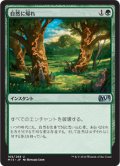 【JPN/M15】自然に帰れ/Back to Nature