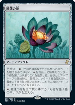 画像1: 【JPN/TSR】睡蓮の花/Lotus Bloom『R』 [茶]