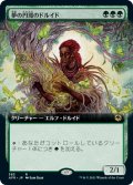 【JPN/AFR-BF/Foil★】夢の円環のドルイド/Circle of Dreams Druid 『R』 [緑]【拡張アート】