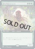 【JPN/AFR-BF/FOIL★】夢の円環のドルイド/Circle of Dreams Druid 『R』 [緑]【拡張アート】