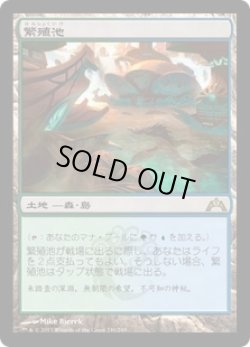 画像1: 【JPN/GTC】繁殖池/Breeding Pool