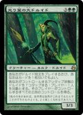 【JPN/MOR】光り葉の大ドルイド/Gilt-Leaf Archdruid