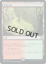 【JPN/CLB】尖塔の庭/Spire Garden