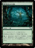 【JPN/SHM】樹液染みの森/Sapseep Forest