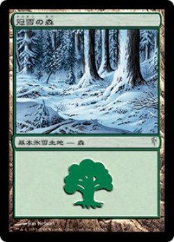 画像1: 【JPN/CSP】冠雪の森/Snow-Covered Forest 