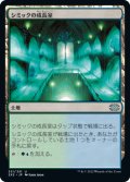 【JPN/2X2】シミックの成長室/Simic Growth Chamber