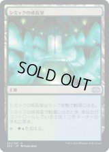 【JPN/2X2】シミックの成長室/Simic Growth Chamber