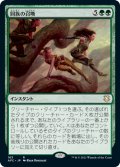 【JPN/AFC】同族の召喚/Kindred Summons