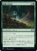 【JPN/J22】狼柳の安息所/Wolfwillow Haven