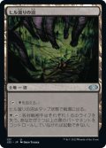 【JPN/J22】ヒル溜りの沼/Leechridden Swamp