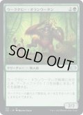 【JPN/J22】ウークタビー・オランウータン/Uktabi Orangutan