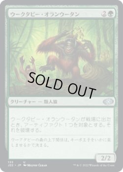 画像1: 【JPN/J22】ウークタビー・オランウータン/Uktabi Orangutan