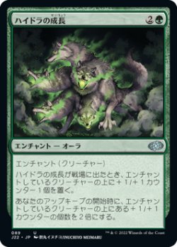 画像1: 【JPN/J22】ハイドラの成長/Hydra's Growth