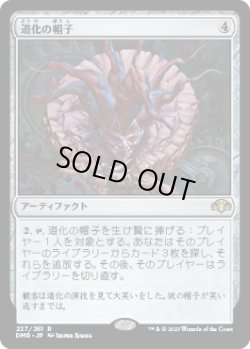 画像1: 【JPN/DMR】道化の帽子/Jester's Cap