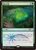 【JPN/PRM/FOIL★】森の占術/Sylvan Scrying【FNM】