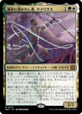 【JPN/MAT】運命に導かれし者、ケイリクス/Calix, Guided by Fate [マルチ] 『M』