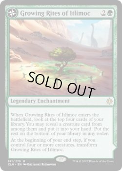 画像1: 【ENG/XLN】イトリモクの成長儀式/Growing Rites of Itlimoc 『R』 [緑]