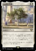 【JPN/LTR】白の木に花開く/Flowering of the White Tree