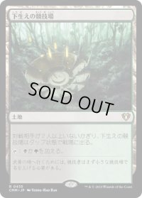 【JPN/CMM】下生えの競技場/Undergrowth Stadium