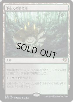 画像1: 【JPN/CMM】下生えの競技場/Undergrowth Stadium