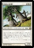 【JPN/MOR】不屈の古樹/Indomitable Ancients