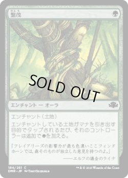 画像1: 【JPN/DMR】繁茂/Wild Growth  