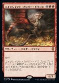 【JPN/CLB】エインシャント・カッパー・ドラゴン/Ancient Copper Dragon
