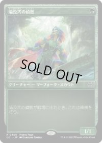 【JPN/LCI/PRM】陥没穴の偵察/Cenote Scout