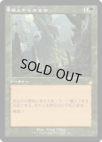 【JPN/RVR】壌土からの生命/Life from the Loam【旧枠】