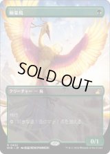 【JPN/RVR/FOIL★】極楽鳥/Birds of Paradise【ボーダーレス】